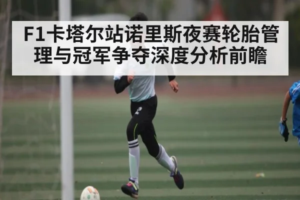 F1卡塔尔站诺里斯夜赛轮胎管理与冠军争夺深度分析前瞻